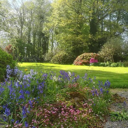 Carncairn Villa Broughshane Стая снимка