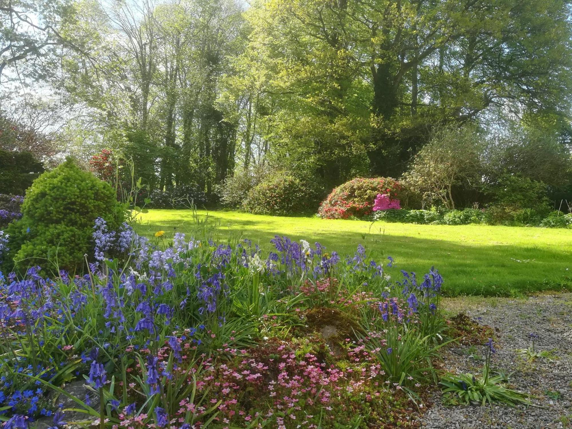 Carncairn Villa Broughshane Стая снимка